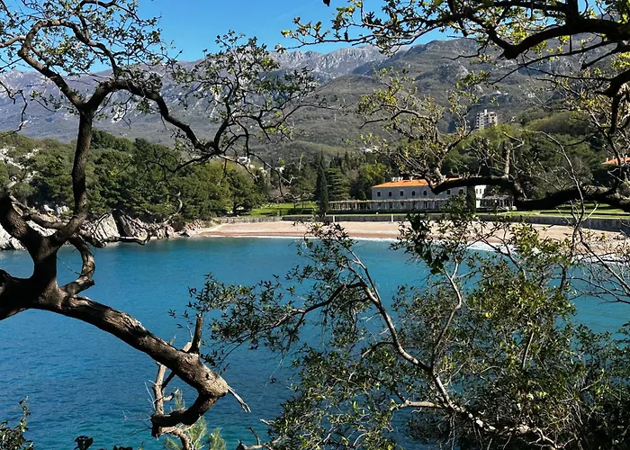 Mind Wellness Montenegro