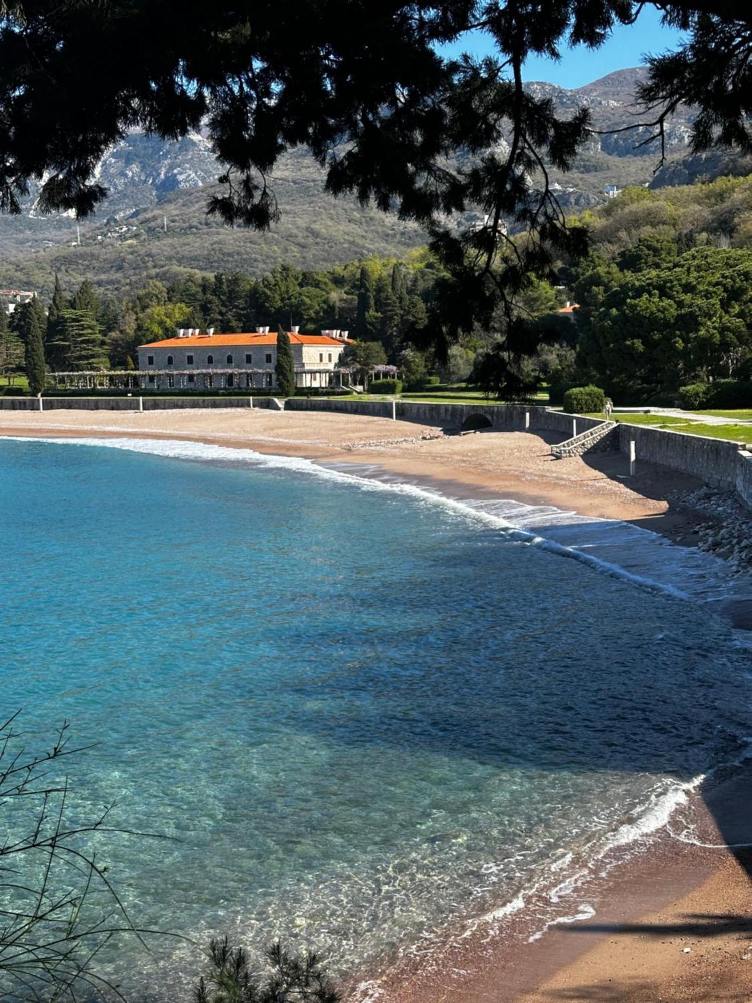 Mind Wellness Montenegro